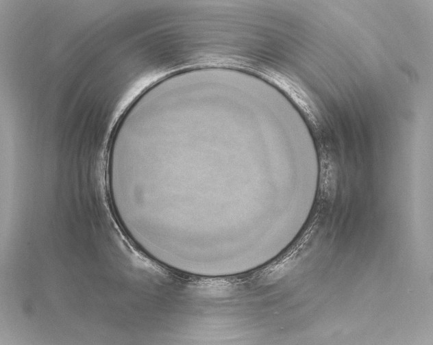 X0000115561094200912041048