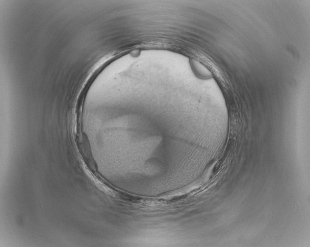 X0000115561095200912041048