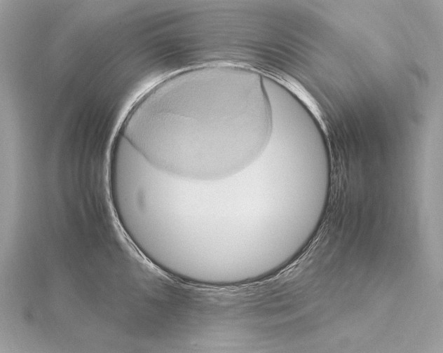 X0000115561096200912041048