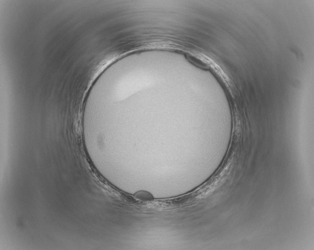 X0000115561097200912041048