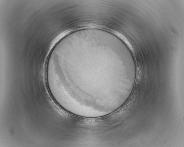 X0000115561098200912041048