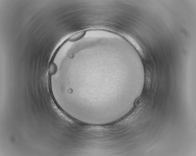 X0000115561100200912041048