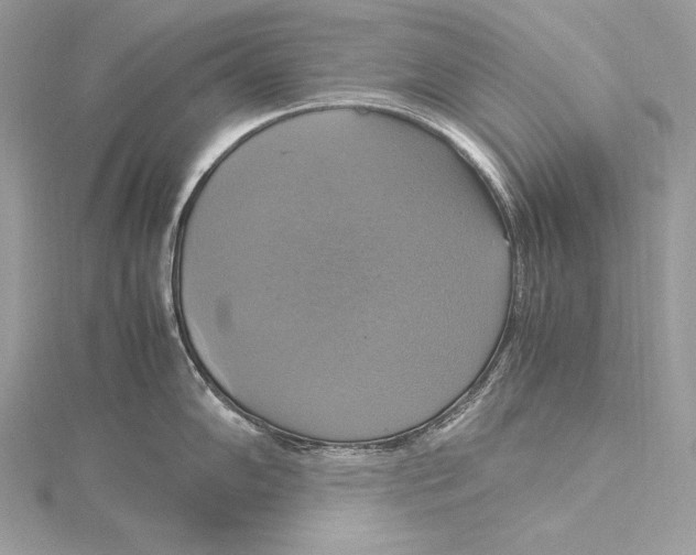 X0000115561102200912041048