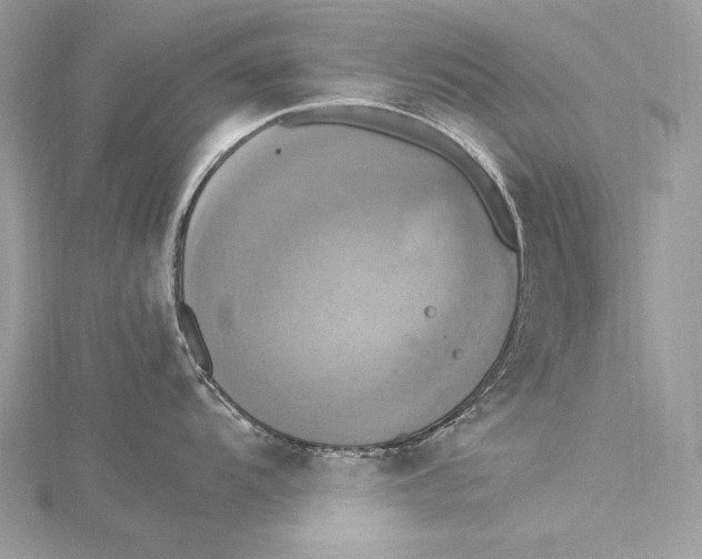 X0000115561104200912041048