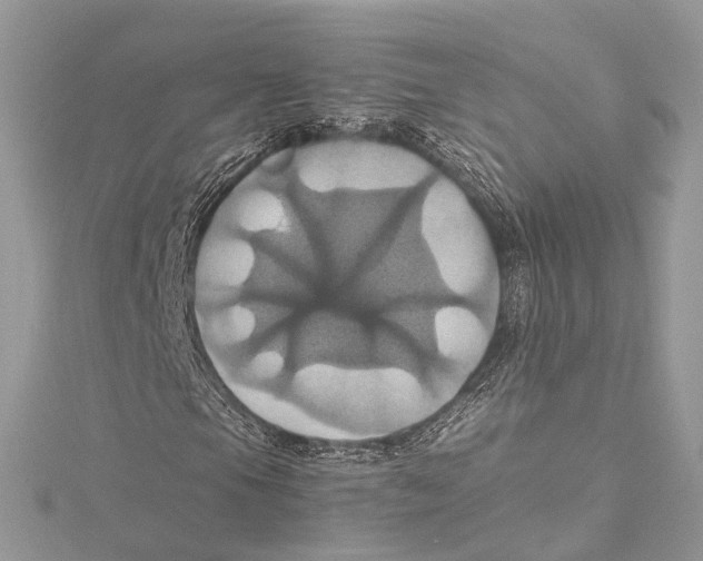 X0000115561105200912041047