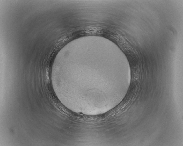 X0000115561106200912041047