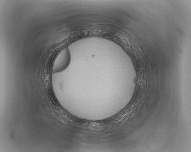 X0000115561109200912041047