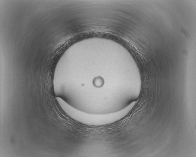 X0000115561110200912041047