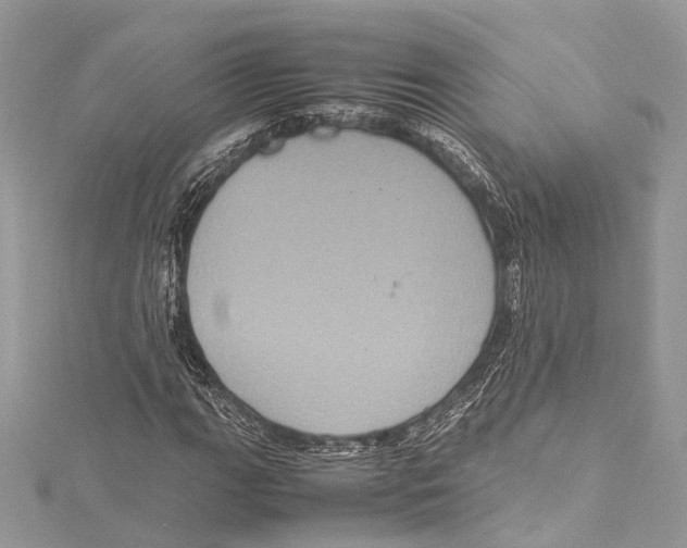 X0000115561111200912041047