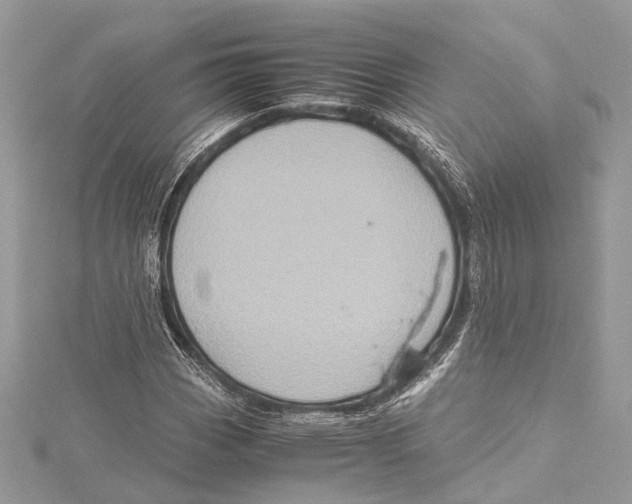 X0000115561113200912041047