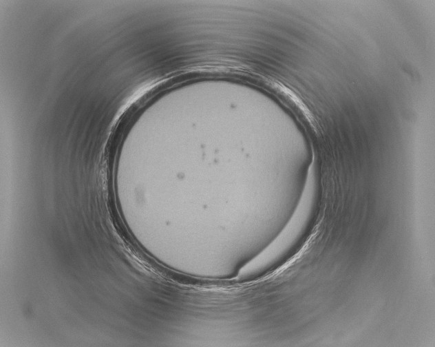 X0000115561114200912041047