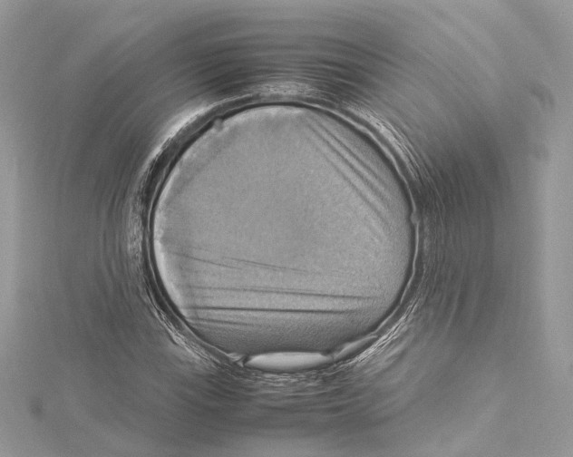 X0000115561115200912041047