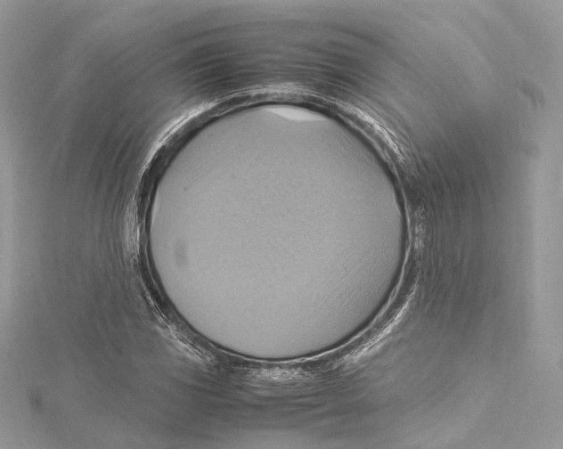 X0000115561117200912041047