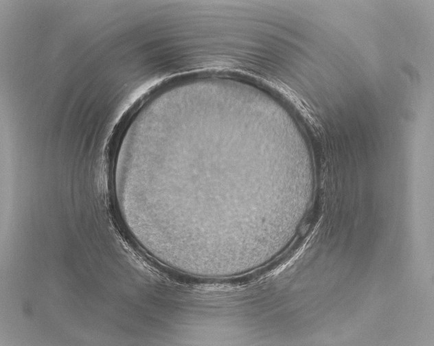 X0000115561118200912041047