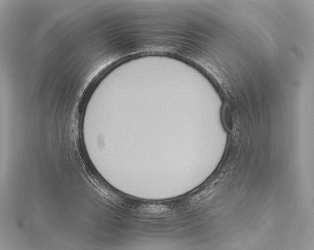 X0000115561119200912041047