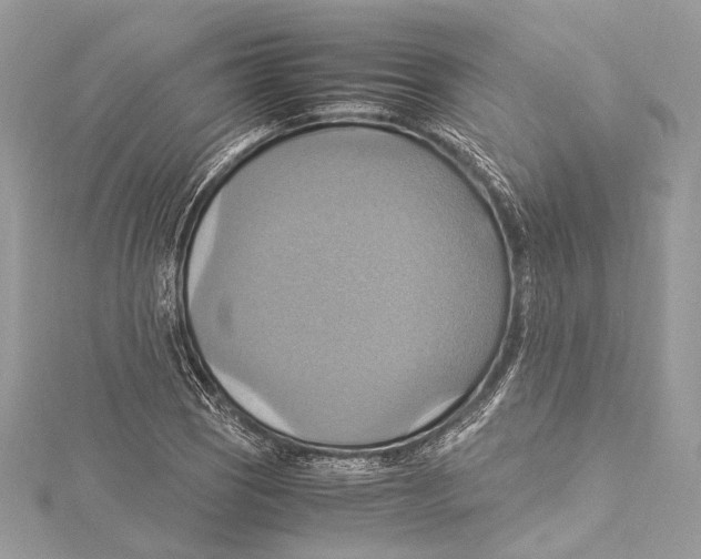 X0000115561121200912041047