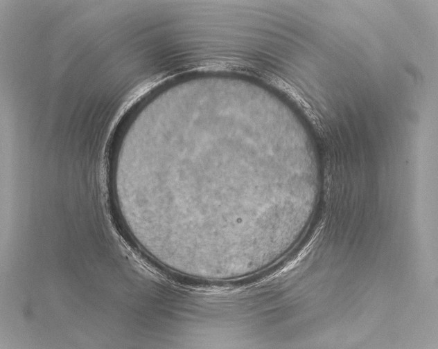 X0000115561122200912041047