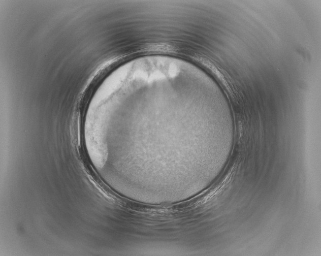 X0000115561123200912041047