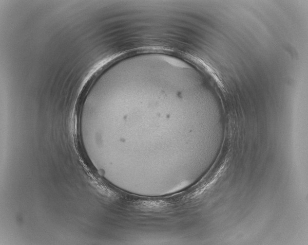 X0000115561125200912041047