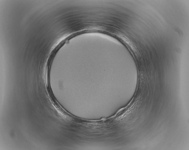 X0000115561127200912041047