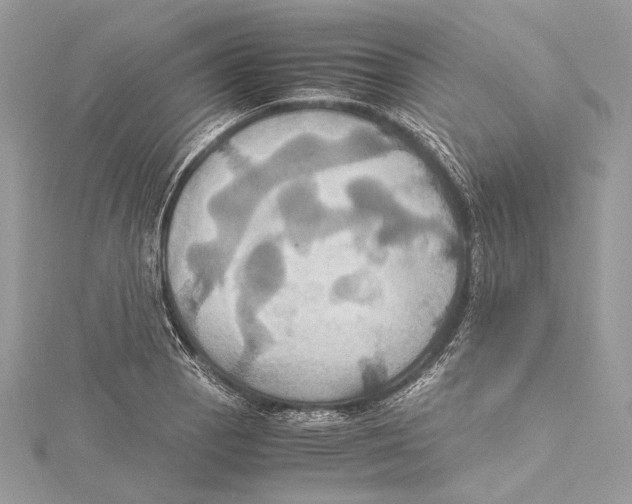 X0000115561129200912041047