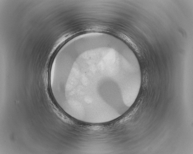 X0000115561130200912041047