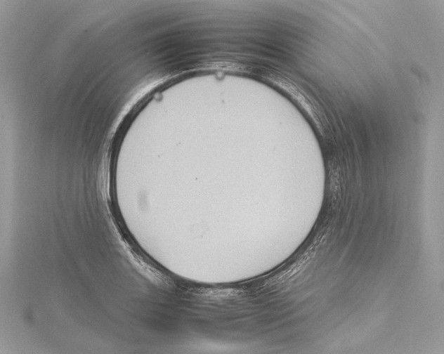 X0000115561131200912041047