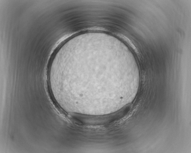 X0000115561133200912041047