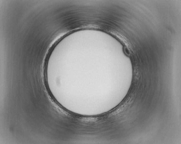 X0000115561135200912041047