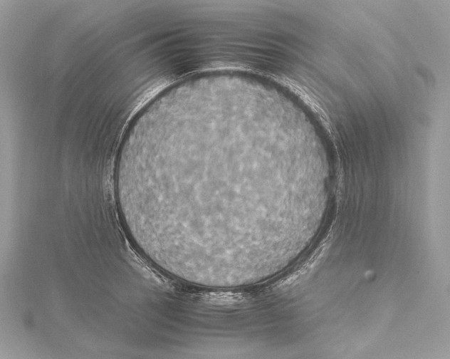 X0000115561137200912041047