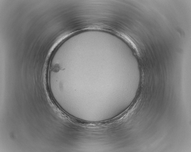 X0000115561138200912041047