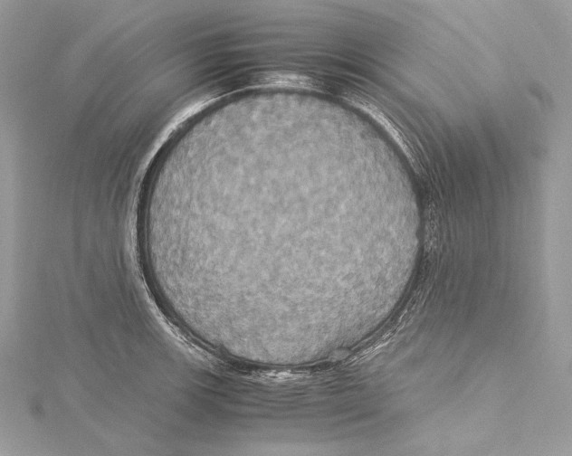 X0000115561139200912041048