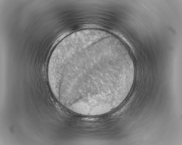 X0000115561145200912041048