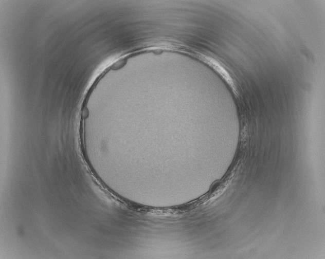 X0000115561146200912041048