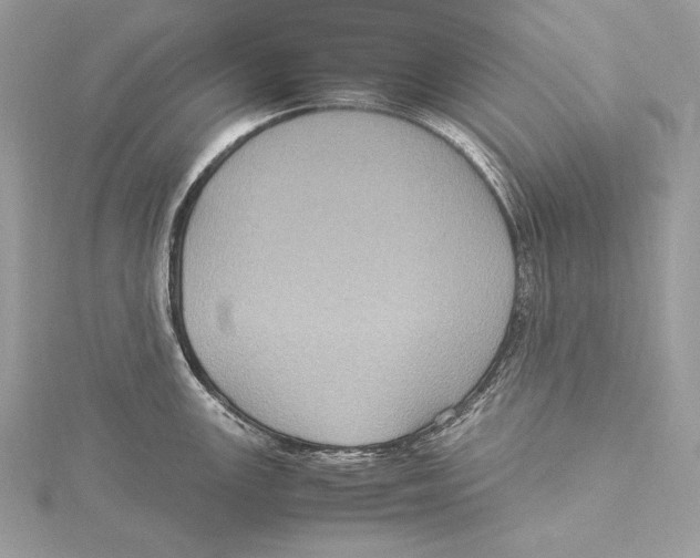 X0000115561147200912041048