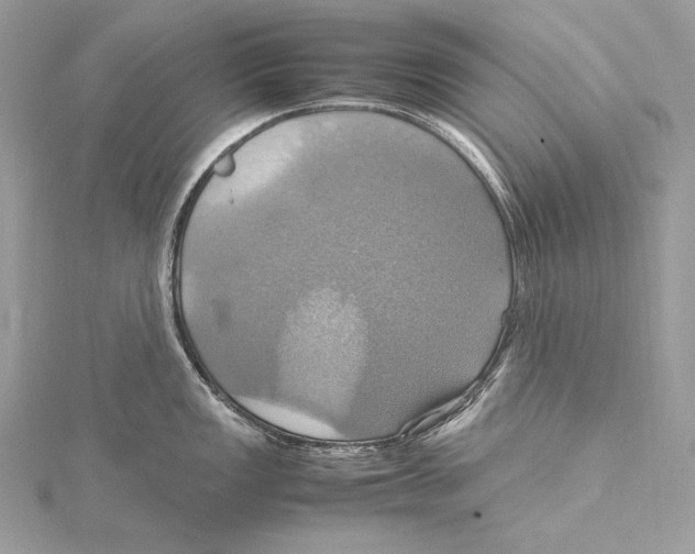 X0000115561149200912041048