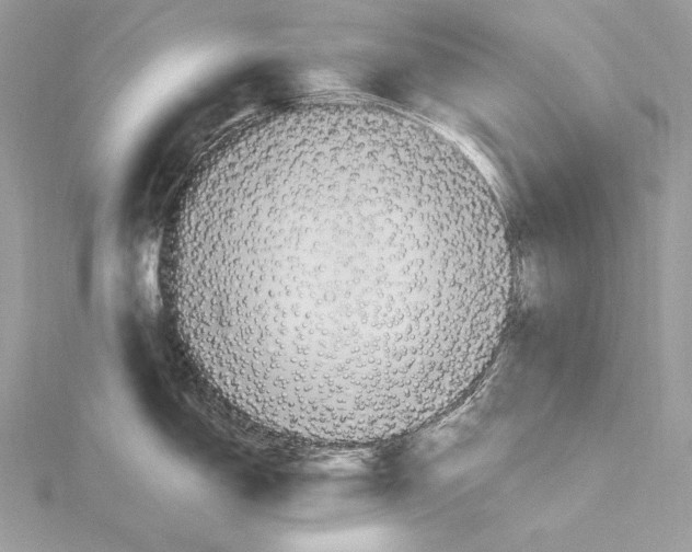 X0000115561150200912041048