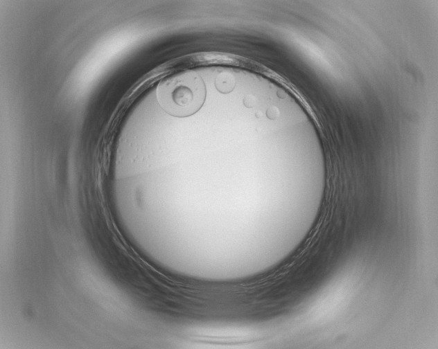 X0000115561151200912041048