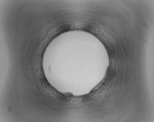 X0000115561153200912041047