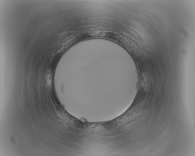 X0000115561154200912041047