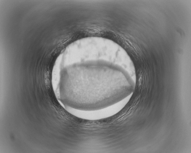 X0000115561156200912041047