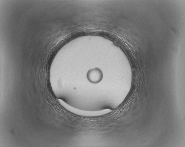 X0000115561157200912041047