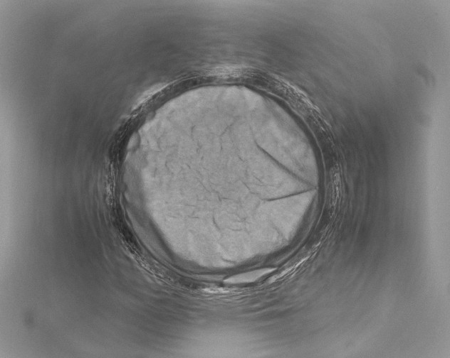 X0000115561158200912041047