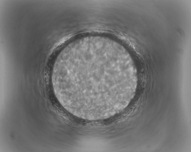 X0000115561159200912041047