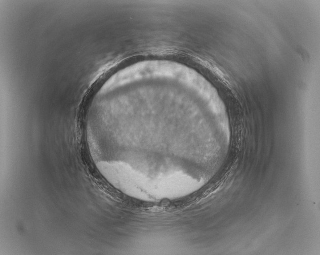 X0000115561160200912041047