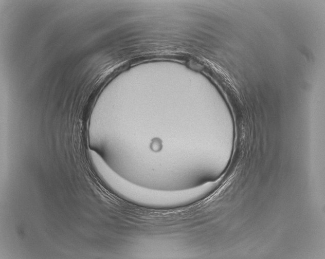 X0000115561161200912041047