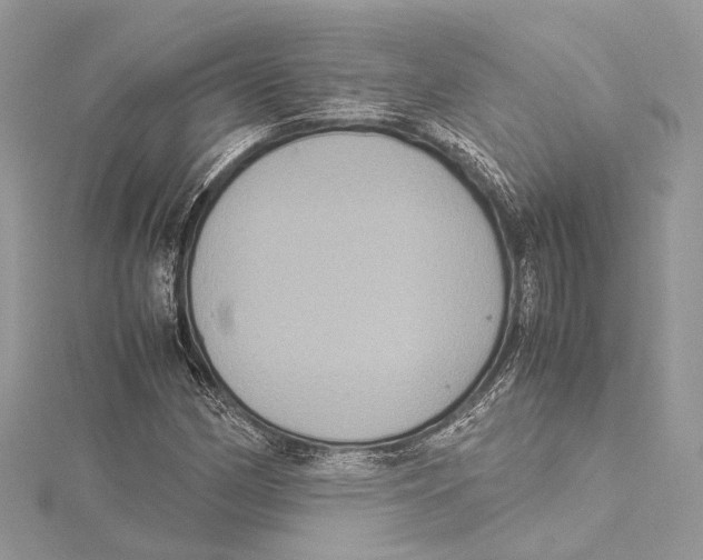 X0000115561162200912041047