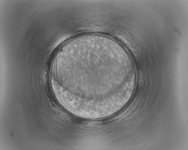 X0000115561163200912041047