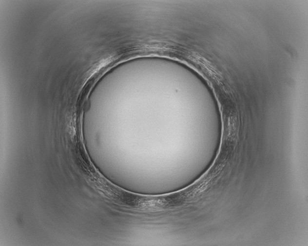 X0000115561165200912041047