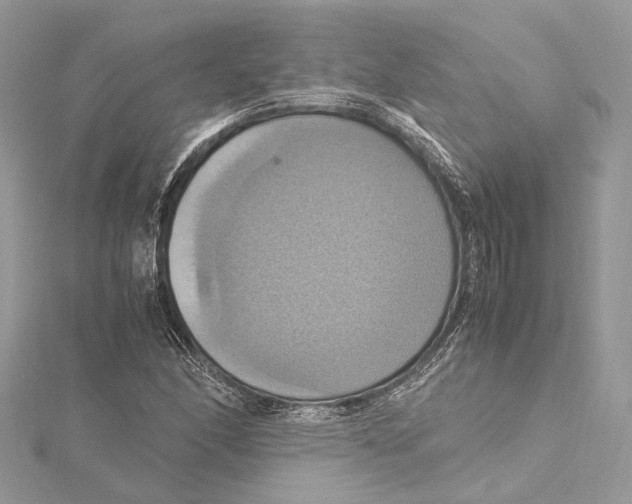 X0000115561166200912041047